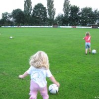 10_minipups_training